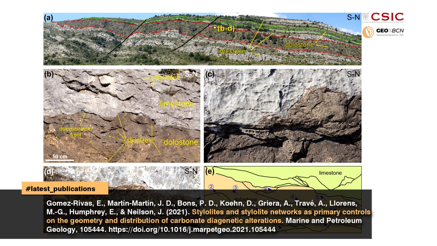 Stylolites and stylolite networks as primary controls on the geometry and distribution of carbonate diagenetic alterations