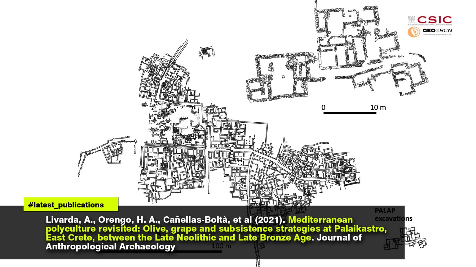 Mediterranean polyculture revisited: Olive, grape and subsistence strategies at Palaikastro, East Crete, between the Late Neolithic and Late Bronze Age