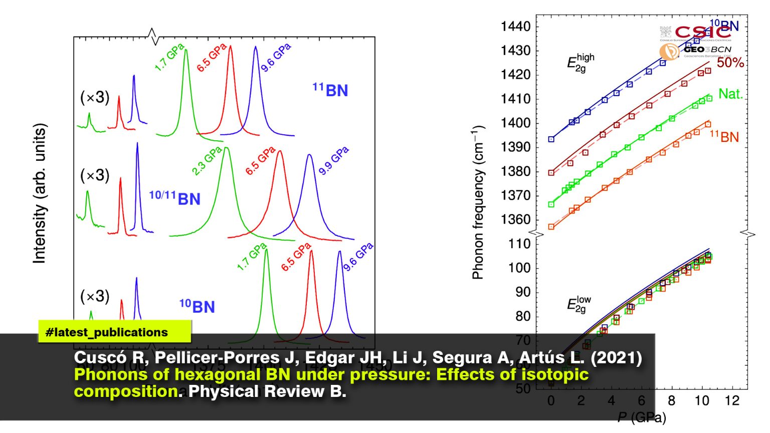 Phonons of hexagonal BN under pressure: Effects of isotopic composition