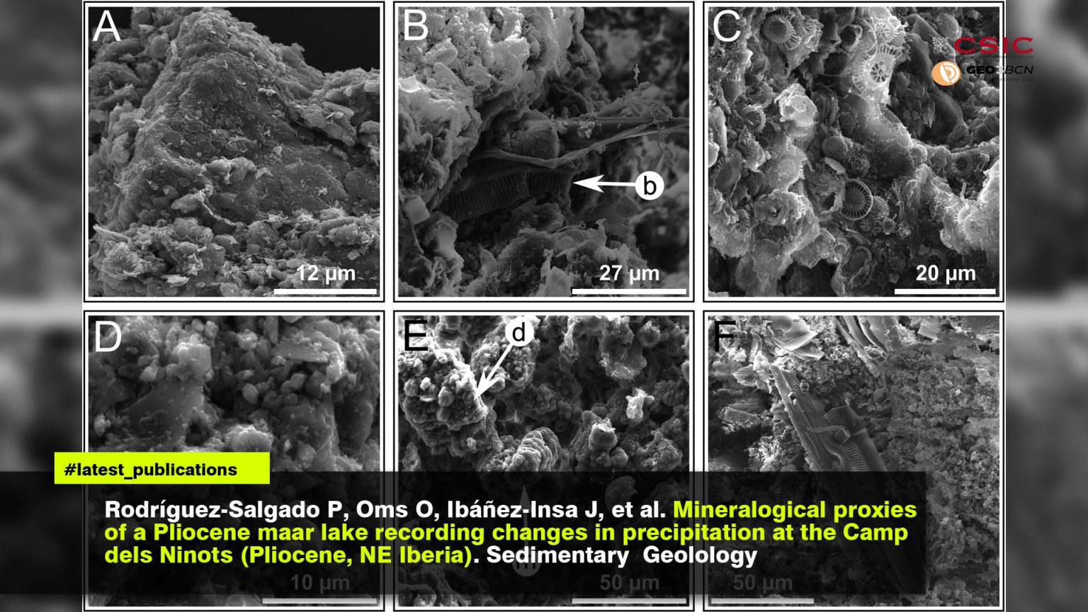 Mineralogical proxies of a Pliocene maar lake recording changes in precipitation at the Camp dels Ninots (Pliocene, NE Iberia)