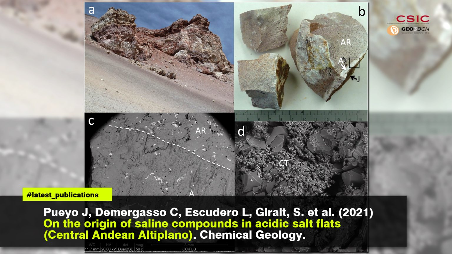 On the origin of saline compounds in acidic salt flats (Central Andean Altiplano)